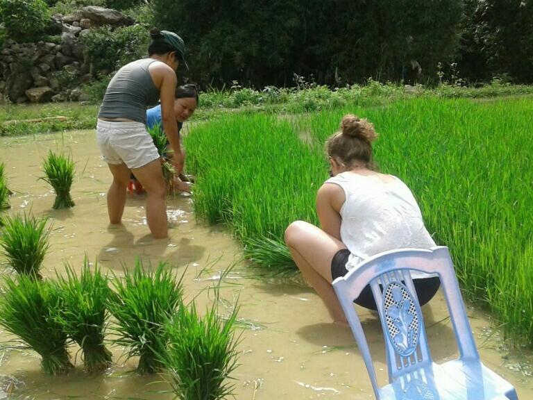 קאו באנג Yen Nhi Homestay Ban Gioc מראה חיצוני תמונה